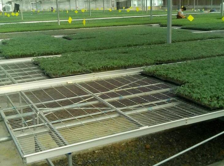 <a href='http://ehi8mzp.cn/miaochuangsheshi/199.html'target='_blank'><a href='http://ehi8mzp.cn/miaochuangsheshi/199.html'target='_blank'><a href='http://ehi8mzp.cn/miaochuangsheshi/199.html'target='_blank'>育苗床</a></a></a>.jpg